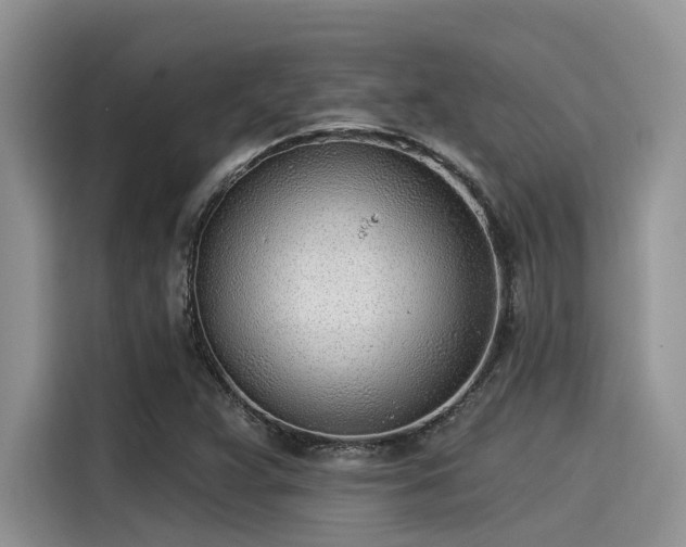 X0000115431359200911121055