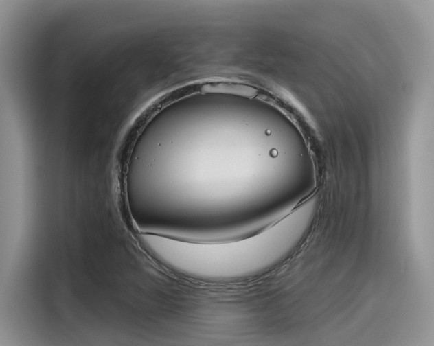 X0000115431360200911121055
