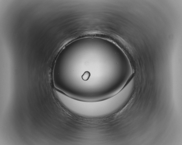 X0000115431361200911121055