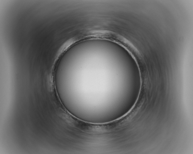 X0000115431362200911121055