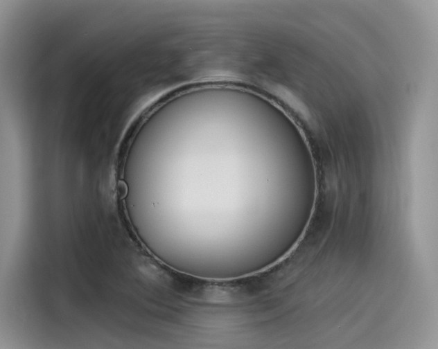 X0000115431364200911121055
