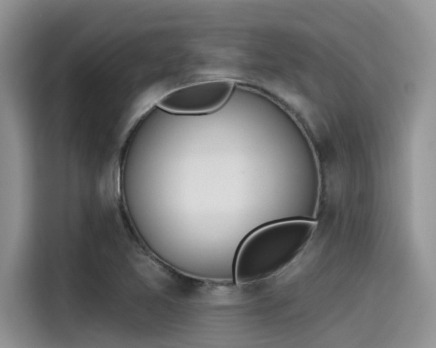 X0000115431365200911121055