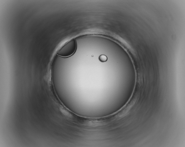 X0000115431366200911121055