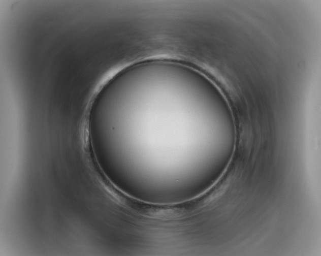 X0000115431367200911121055
