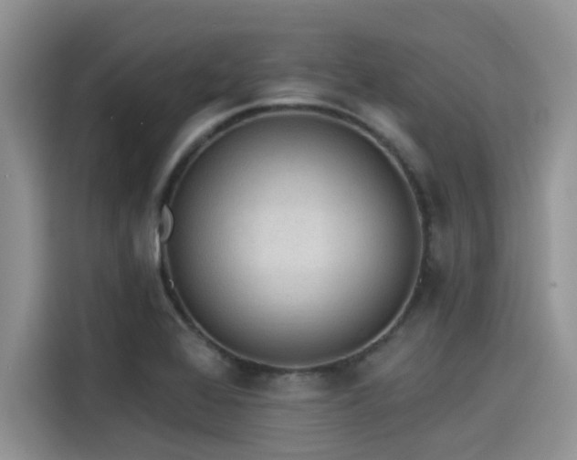 X0000115431368200911121055