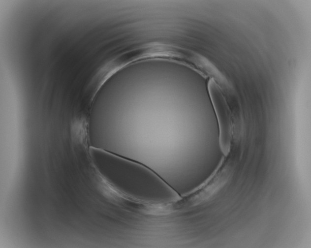 X0000115431369200911121055