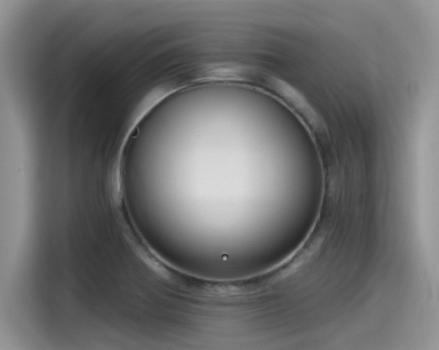 X0000115431370200911121055