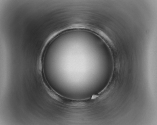 X0000115431372200911121054