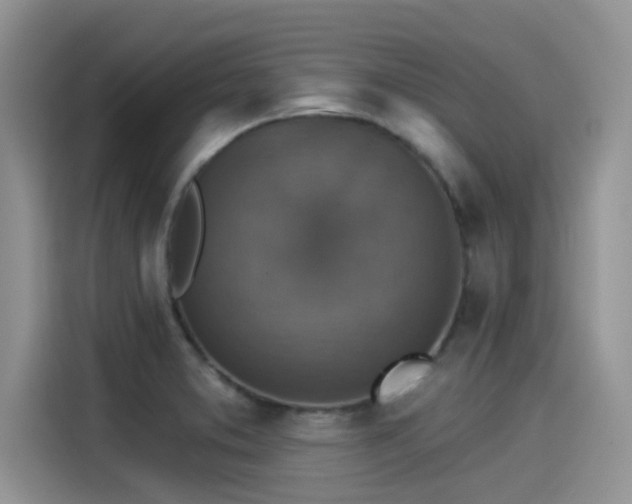 X0000115431373200911121054