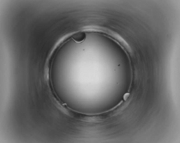 X0000115431376200911121054
