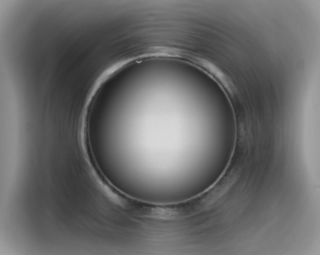 X0000115431379200911121054