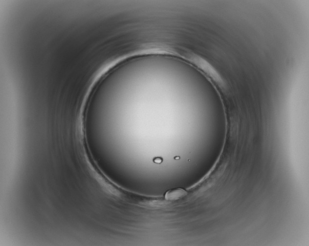 X0000115431380200911121054