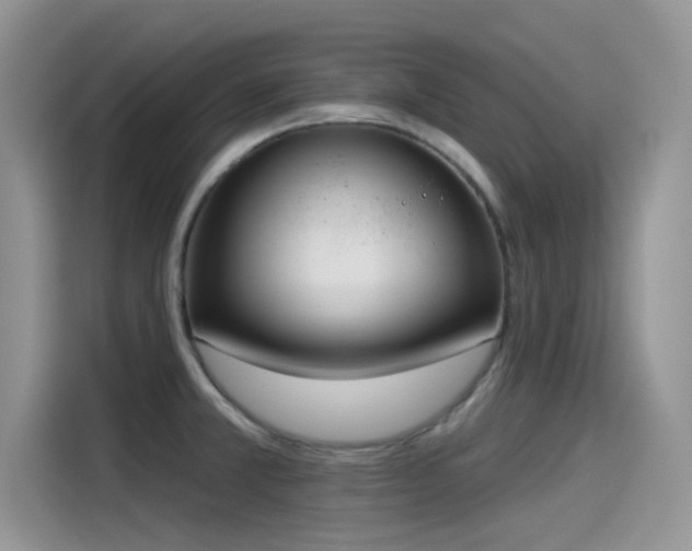 X0000115431381200911121054