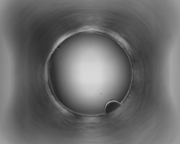 X0000115431382200911121054