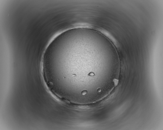 X0000115431383200911121054
