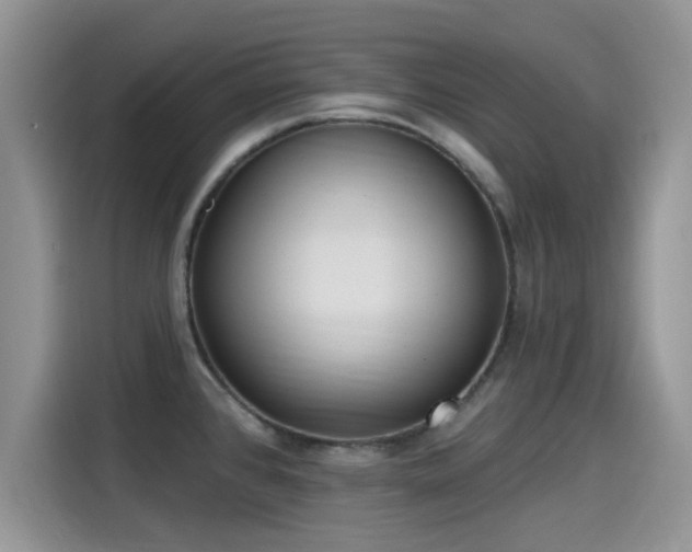 X0000115431384200911121054