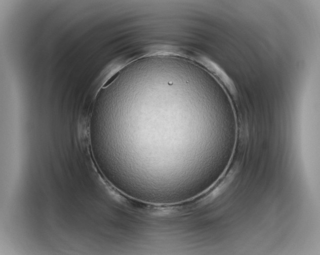 X0000115431385200911121054