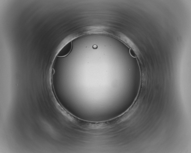 X0000115431386200911121054