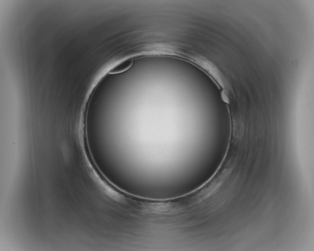 X0000115431387200911121054