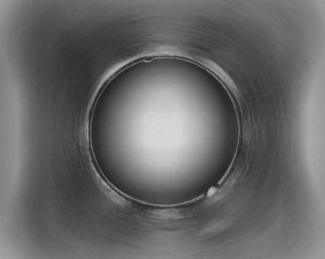 X0000115431388200911121054