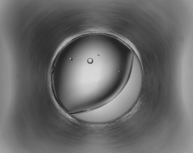 X0000115431389200911121054