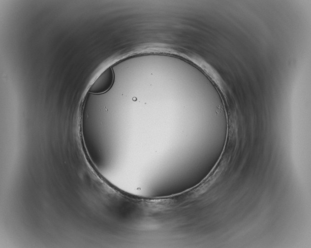 X0000115431390200911121054