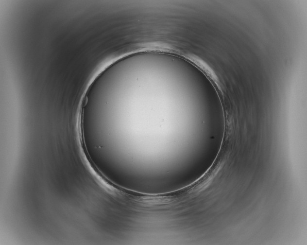 X0000115431391200911121054