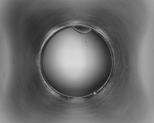 X0000115431392200911121054