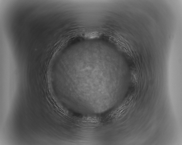 X0000115431393200911121054