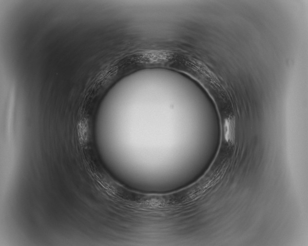 X0000115431395200911121054