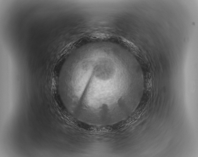 X0000115431397200911121054