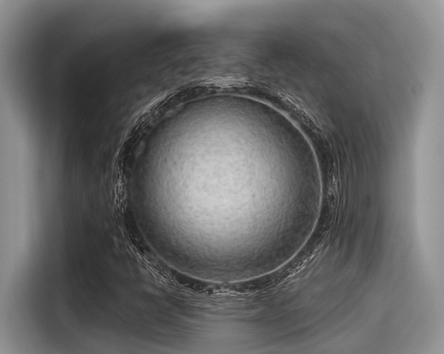 X0000115431398200911121054