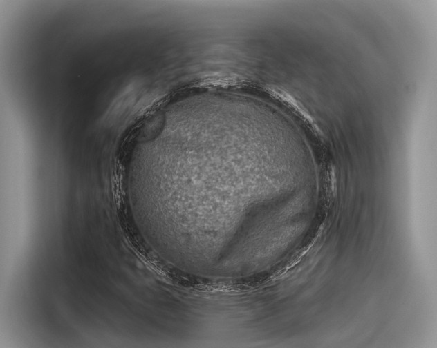 X0000115431399200911121054