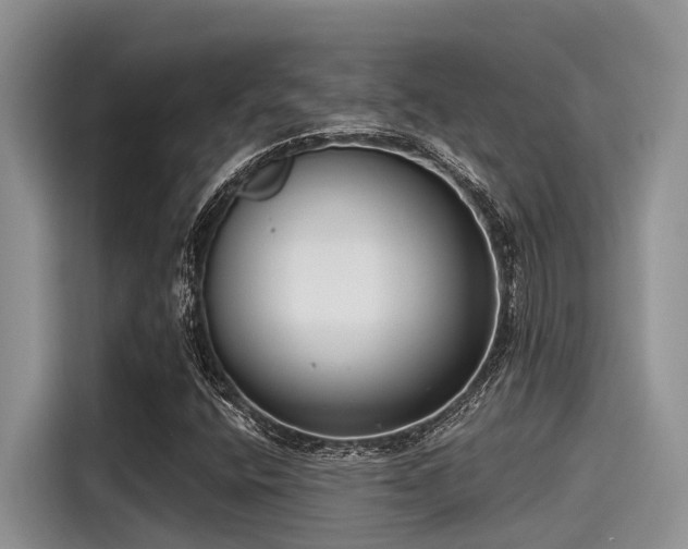 X0000115431400200911121054