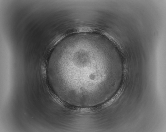 X0000115431401200911121054