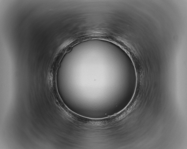 X0000115431402200911121054