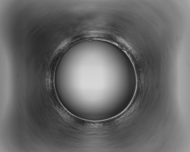 X0000115431403200911121054