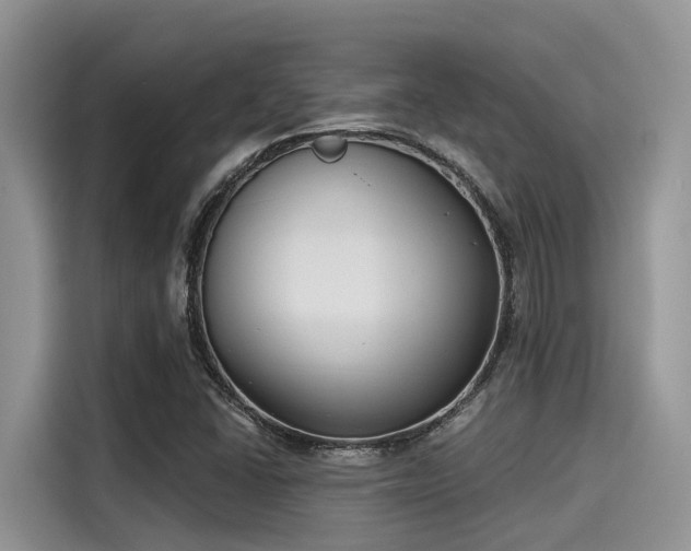 X0000115431406200911121054