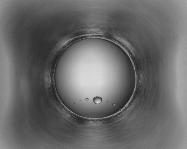 X0000115431407200911121054