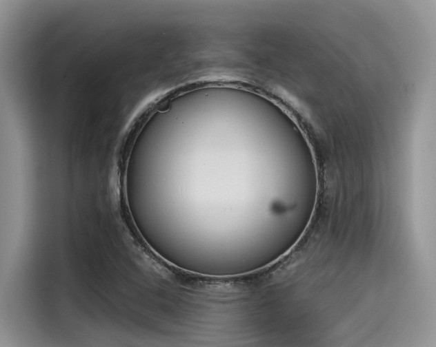X0000115431408200911121054