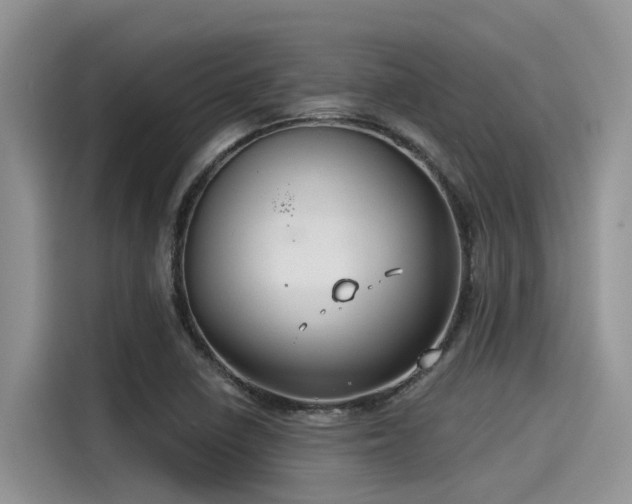 X0000115431410200911121054