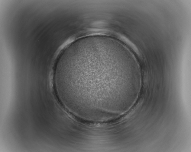 X0000115431411200911121054
