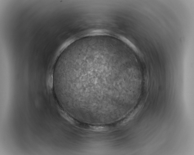 X0000115431413200911121054