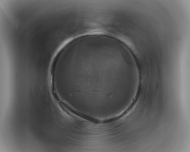 X0000115431414200911121054