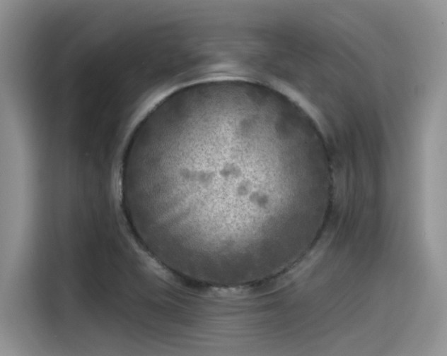 X0000115431415200911121054
