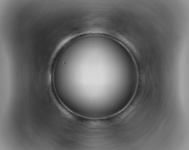 X0000115431416200911121054