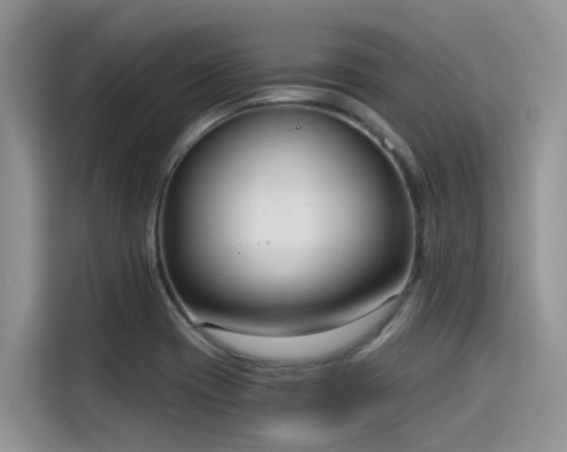 X0000115431417200911121054