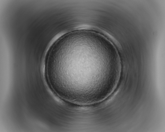 X0000115431418200911121054