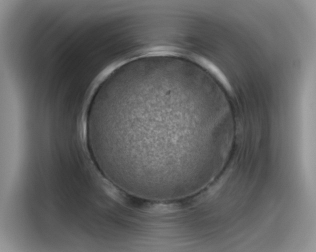 X0000115431419200911121054