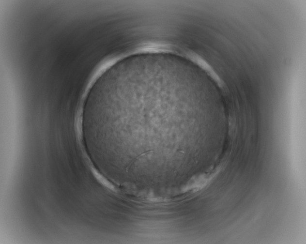 X0000115431421200911121054